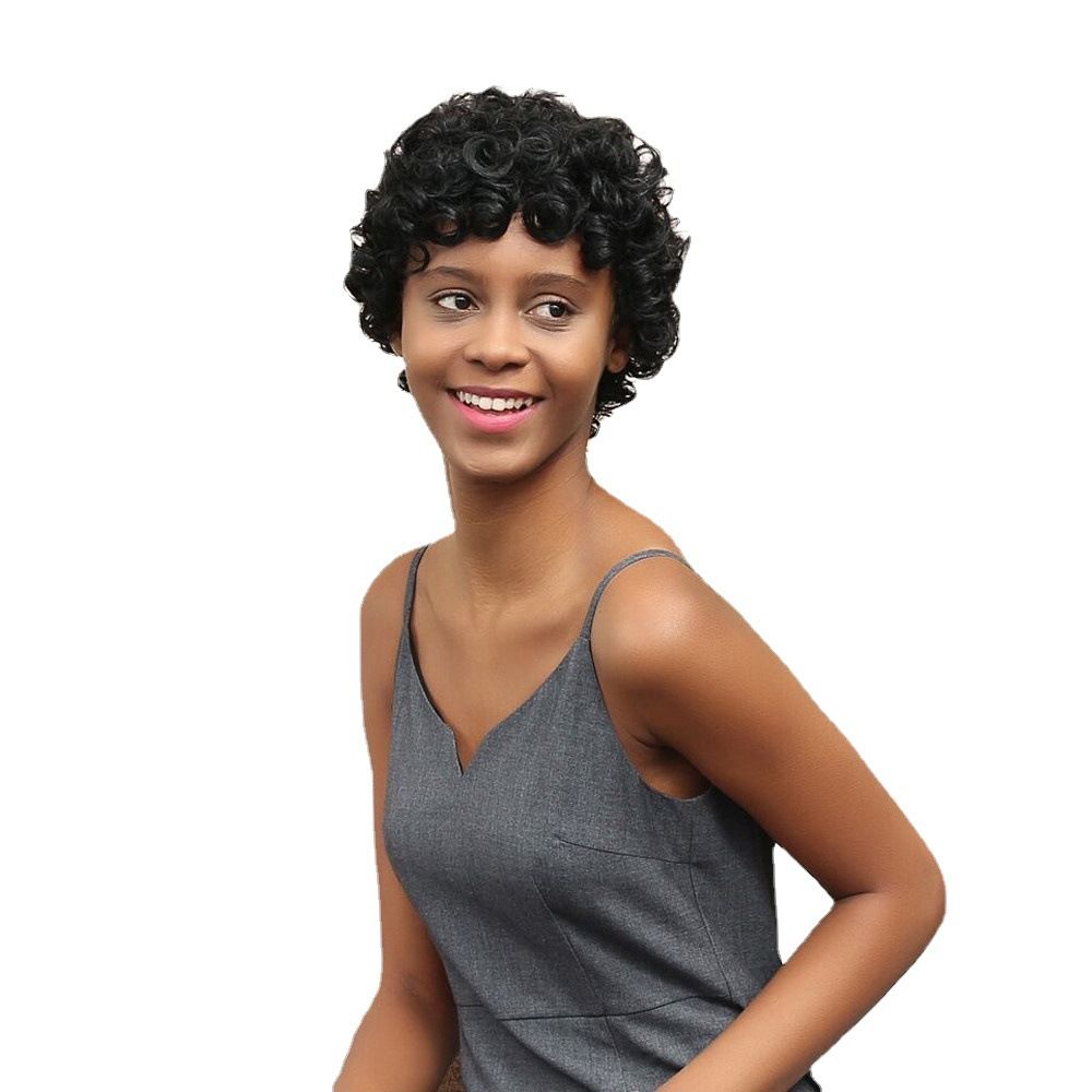 Health & Beauty > Hair > Wigs European and American wig women short curly wig African small curly wig chemical fiber head hood black