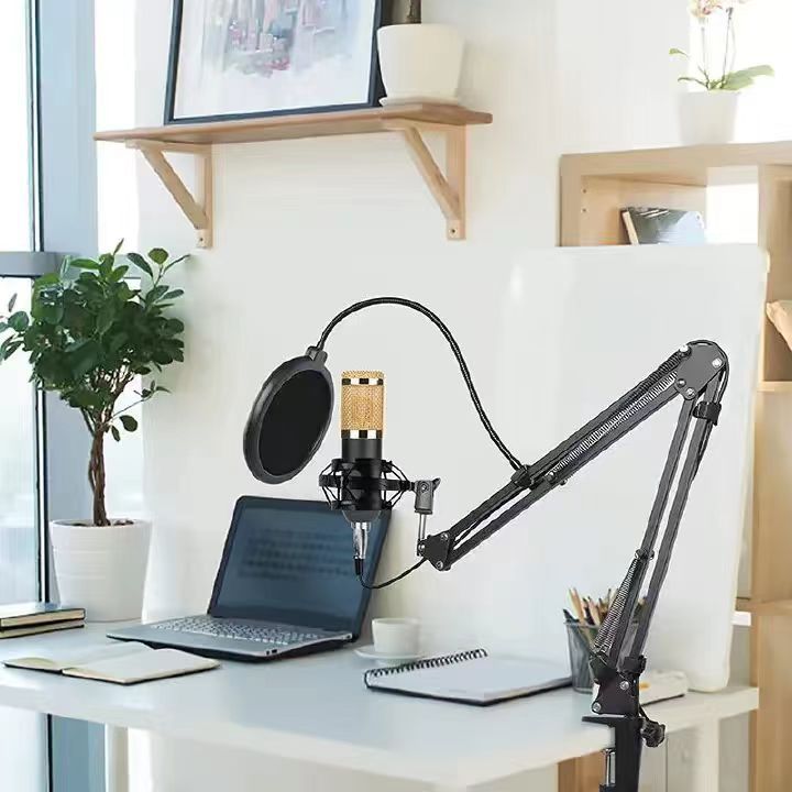 Cross-border BM800 condenser microphone V8 sound card mobile phone and computer anchor karaoke recording live broadcast stand set