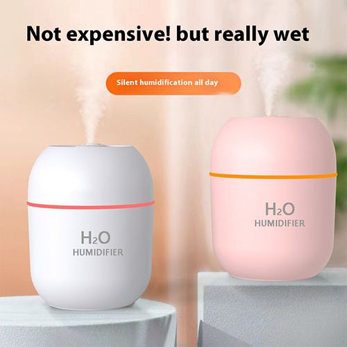 2024 New Arrivals Air Humidifier Cute Aroma Diffuser With LED Night Light Cool Mist For Bedroom Home Car Plants Purifier Humificador Home Appliances