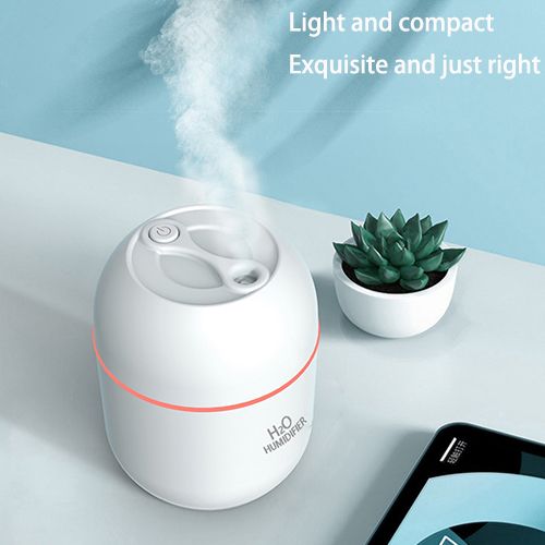 2024 New Arrivals Air Humidifier Cute Aroma Diffuser With LED Night Light Cool Mist For Bedroom Home Car Plants Purifier Humificador Home Appliances