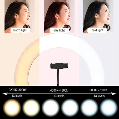 10inch 26cm Selfie Ring Light Photography Fill Lighting Led Ring Lamp for Video Recording Live Broadcast Selfie Led Lamp for Tiktok Youtube Makeup Video Live Studio Ring Lamp