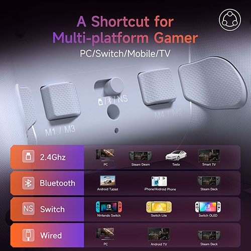 Wireless Gamepad Enhanced Controller Compatible with PC/NS/TV/Mobile Phone/Laptop, Hall Micro-trigger Joystick RGB Effect