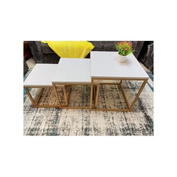 AMANI NESTING COFFEE TABLE 3PCS SET