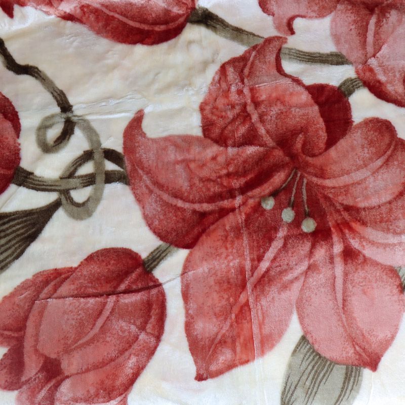 2.3kg 200*230cm /6.5*7.5 feet  Thicken blanket winter super soft double blanket flannel blanket
