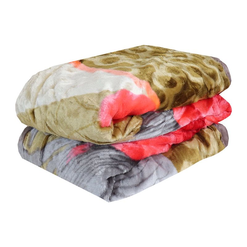 2.3kg   200*230cm  Thicken blanket winter super soft double blanket flannel blanket