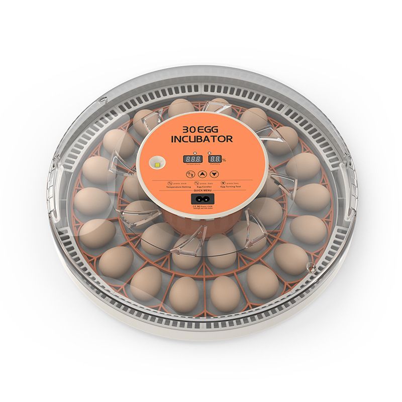 1pc Intelligent Incubator for Quail - Small-Scale Hatcher, Poultry Breeding Incubator Box (30-Egg Capacity)
