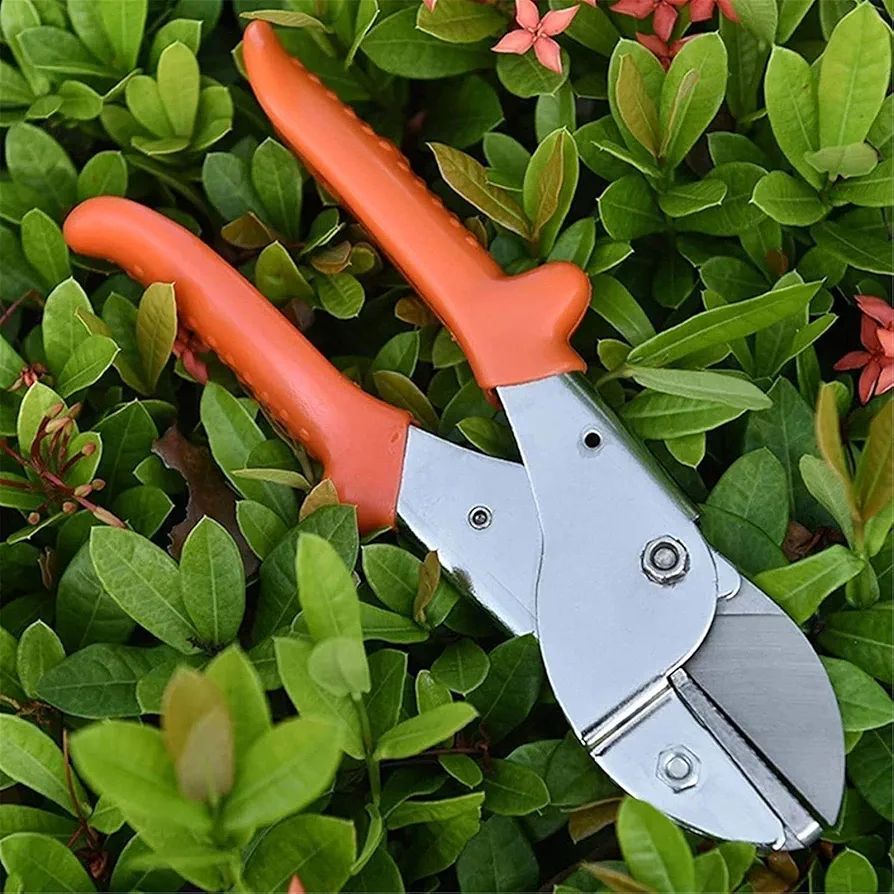 Professional Anvil Pruner Secateurs Garden shear Tools Robust and Sharp Hedge Trimmer Durable Portable Pruning Shears for Gardening