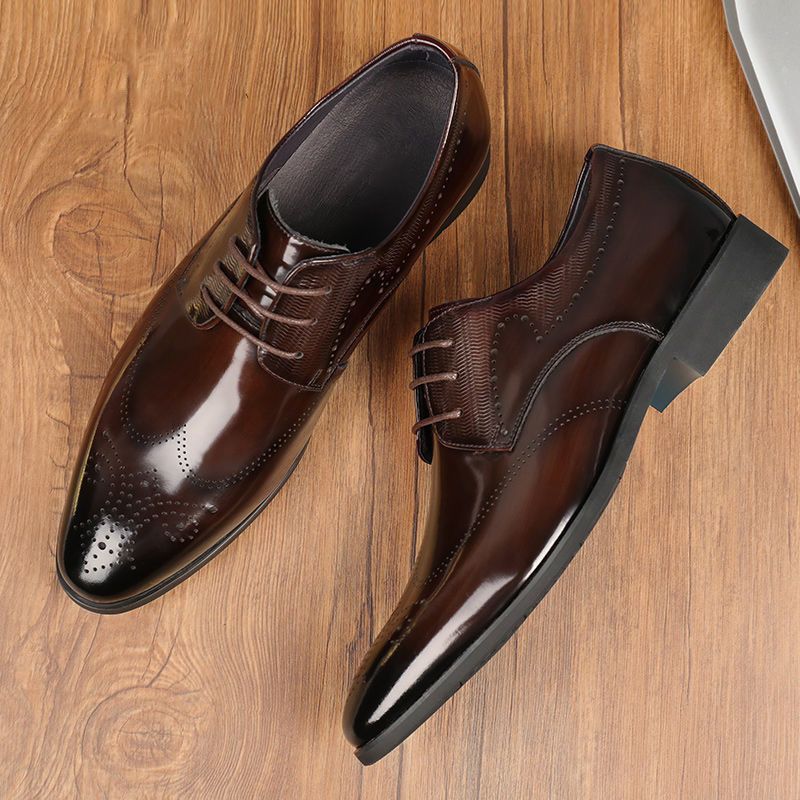 Shoes Men Leather Shoe Man Men's Brogue Leather Shoes Metal-Like Brushed Finish Handcrafted Leather Shoes Men's Shoes Oxfords