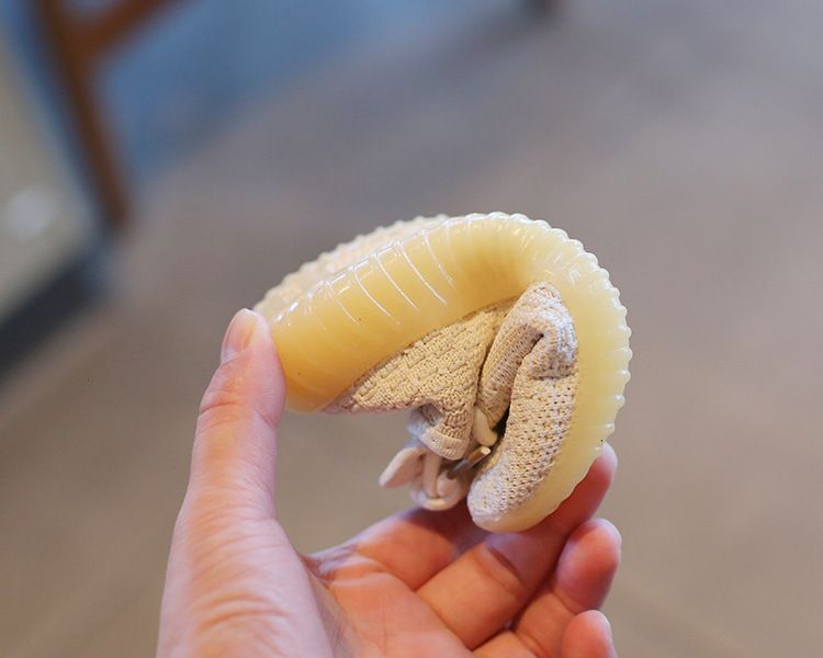 Children's Sports Shoes Spring Autumn Boys' Coconut Shoes Flyknit Breathable Mesh Shoes Girls' Casual Shoes Soft Soled Baby Shoes Kids Shoes Boys' Shoes Sneakers