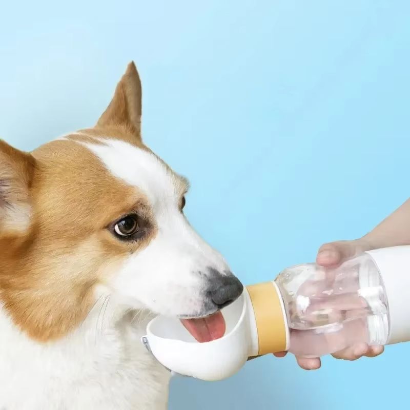 Portable Dog and Cat Water Bottle with Storage Container for Food and Water, Used for Feeding Small Dogs and Pets