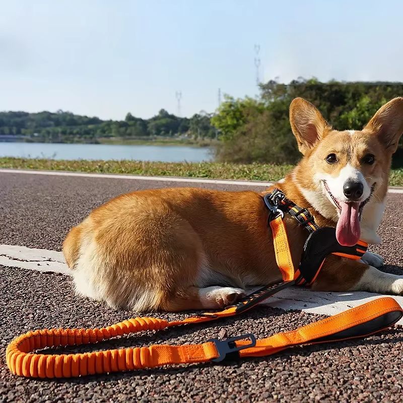 Pet Leash 1PC Cat and Dog Supplies Chest Harness Car Safety Belt Car Retractable Leash Dog Out Walking Anti-rush