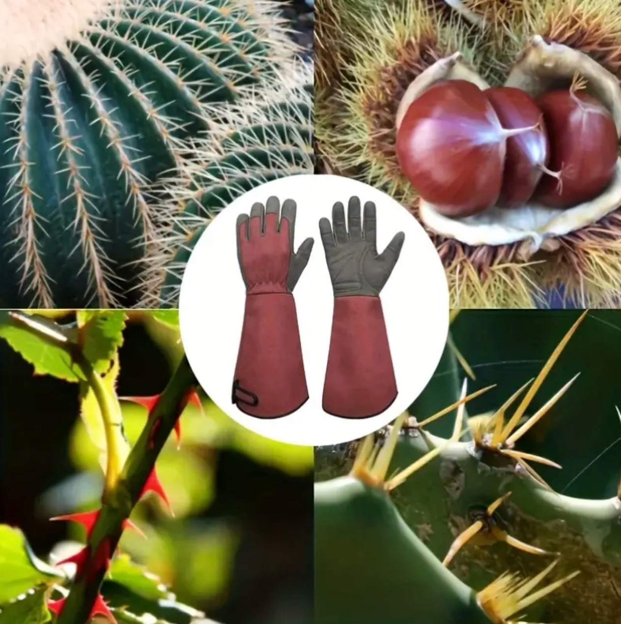 Long Style Gardening Gloves Thorn Proof Gloves Canvas Rose Pruning Garden Gloves with Touch Screen Breathable Work Gloves