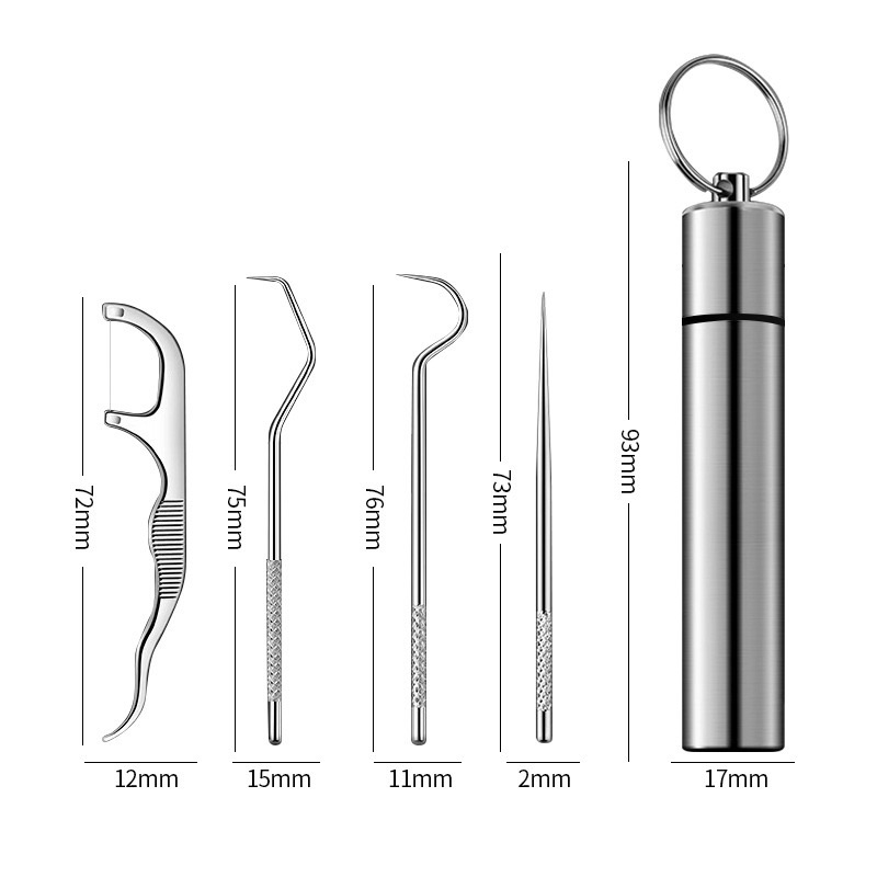 Stainless Steel Toothpick Dental Floss Set Reusable Tooth Flossing Toothpicks Teeth Cleaner Portable Oral Cleaning Tool Set