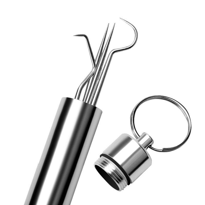 Stainless Steel Toothpick Dental Floss Set Reusable Tooth Flossing Toothpicks Teeth Cleaner Portable Oral Cleaning Tool Set