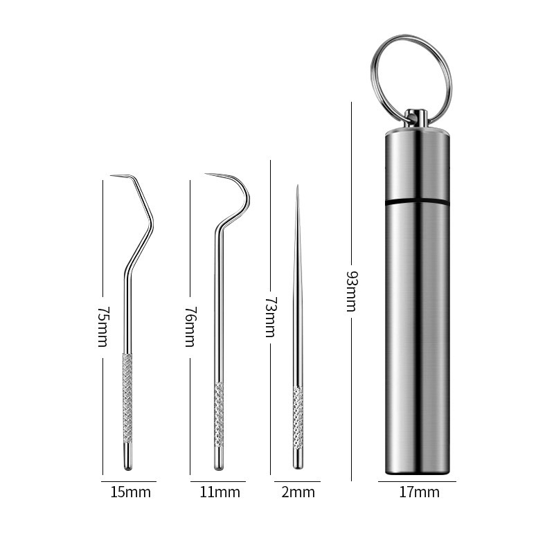 Stainless Steel Toothpick Dental Floss Set Reusable Tooth Flossing Toothpicks Teeth Cleaner Portable Oral Cleaning Tool Set
