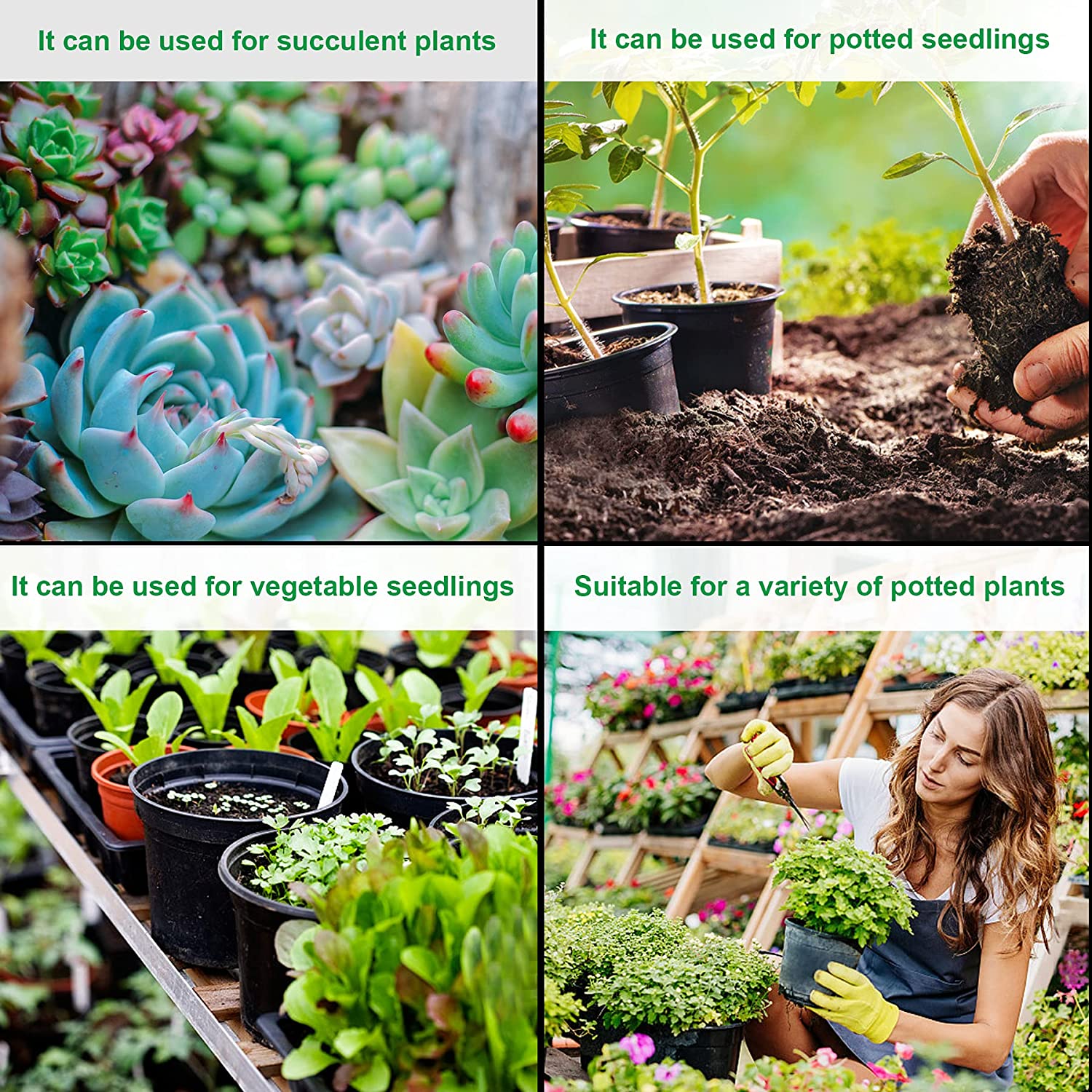 Reusable/Recyclable  Plastic Plant Seedling Flower Pots - 10 Pcs
