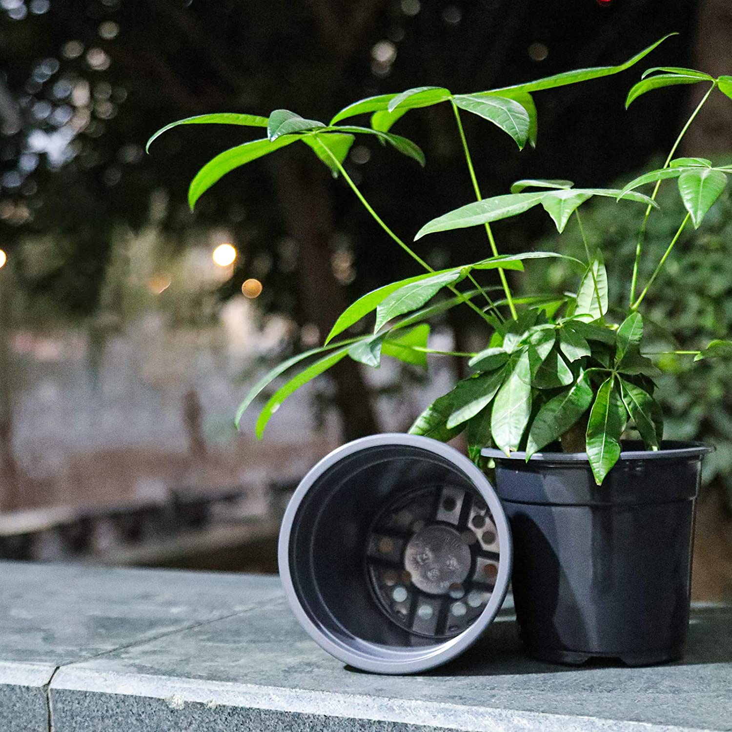 Reusable/Recyclable  Plastic Plant Seedling Flower Pots - 10 Pcs
