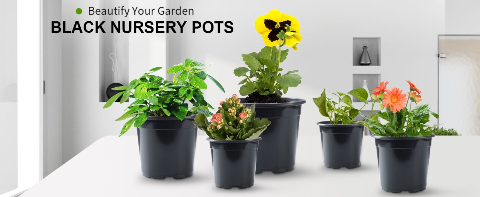 Reusable/Recyclable  Plastic Plant Seedling Flower Pots - 10 Pcs