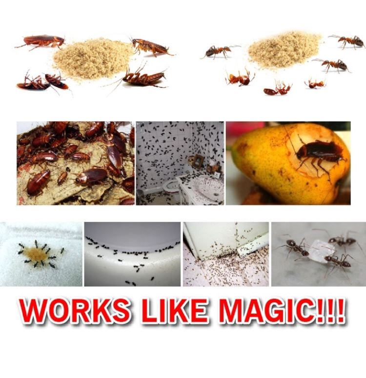 Pest Contol Insecticide Cockroach Powder Bait Killer Repellent