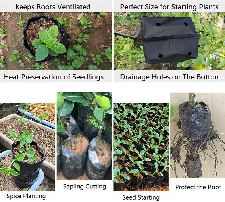 Eco-Friendly Compostable Seedling Bags – Durable Nursery Plant Grow Bags for Easy Transplanting