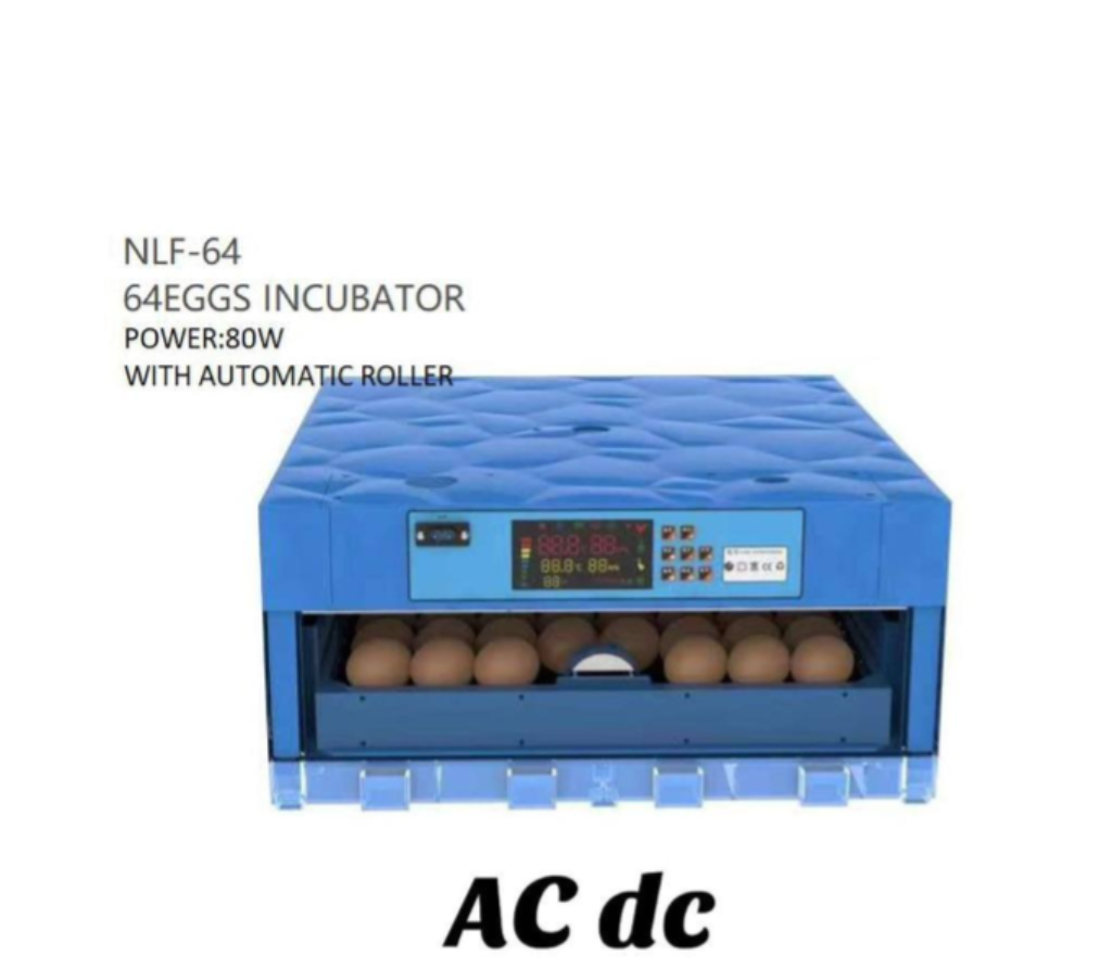 AC/DC 64 Eggs Incubator – Dual Power Automatic Egg Hatcher