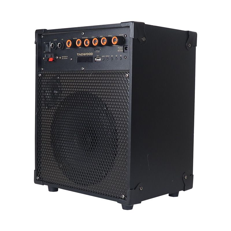 Tagwood LTS-6A Trolley Speaker Porteable Portable Speaker Subwoofer Outdoor Speaker ,Bluetooth,Free Wireless Microphone a Built in Battery Woofer Woofer