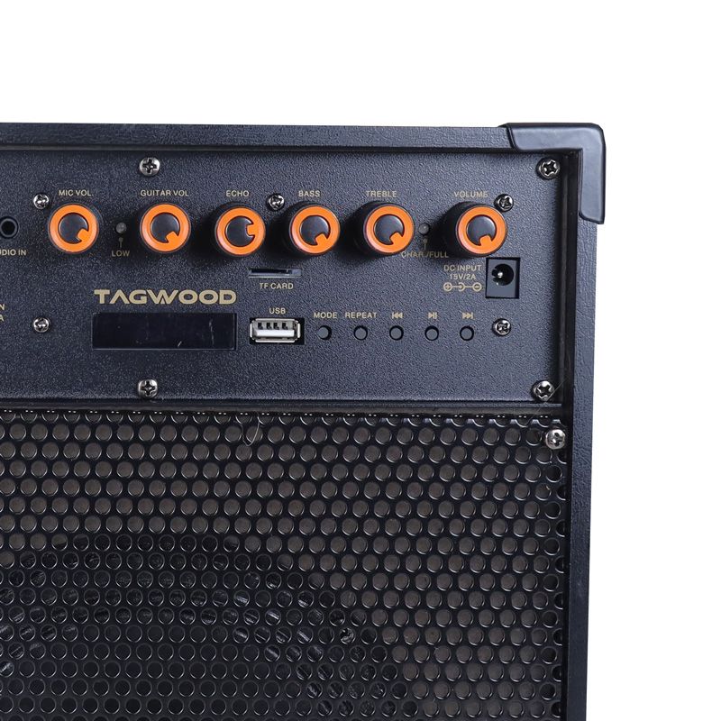 Tagwood LTS-6A Trolley Speaker Porteable Portable Speaker Subwoofer Outdoor Speaker ,Bluetooth,Free Wireless Microphone a Built in Battery Woofer Woofer