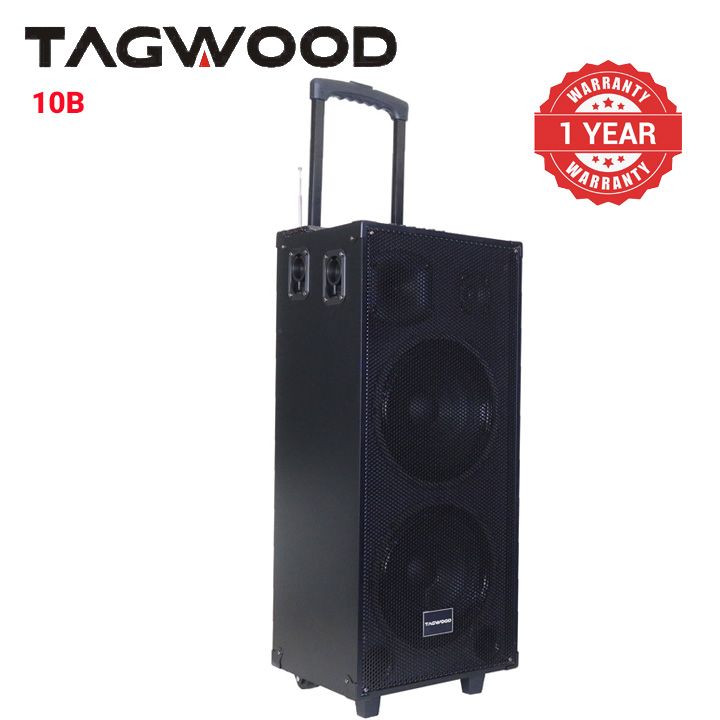 TAGWOOD LTS-10B Outdoor Subwoofer Speaker with Bluetooth,FM Radio,Free Wireless Microphone Woofer