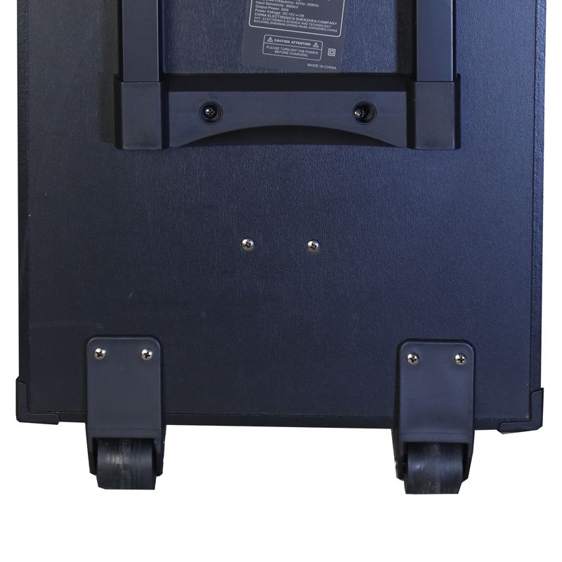TAGWOOD LTS-10B Outdoor Subwoofer Speaker with Bluetooth,FM Radio,Free Wireless Microphone Woofer
