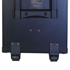 TAGWOOD LTS-10B Outdoor Subwoofer Speaker with Bluetooth,FM Radio,Free Wireless Microphone Woofer