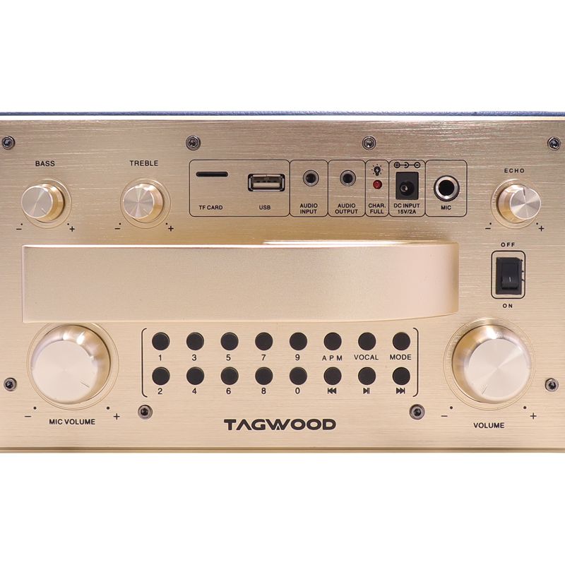Tagwood LTS-5A Trolley Speaker Porteable Portable Speaker Subwoofer Outdoor Speaker ,Bluetooth,Free Wireless Microphone a Built in Battery Woofer Woofer