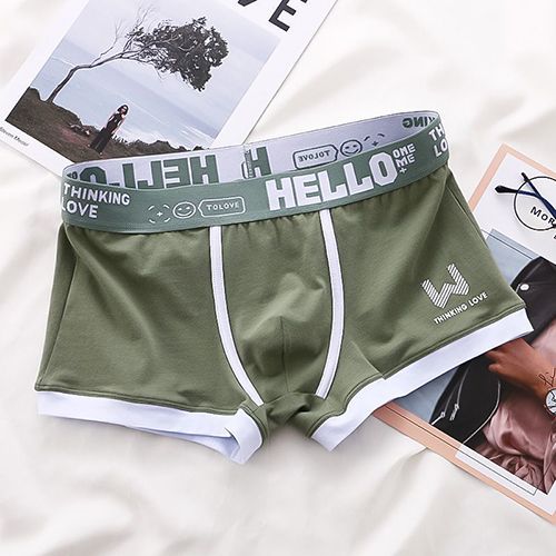 Men Panties Cotton BoxerShorts Man Underwear Mens Boxers Breathable U Convex Male Underpants Sexy Plus Size