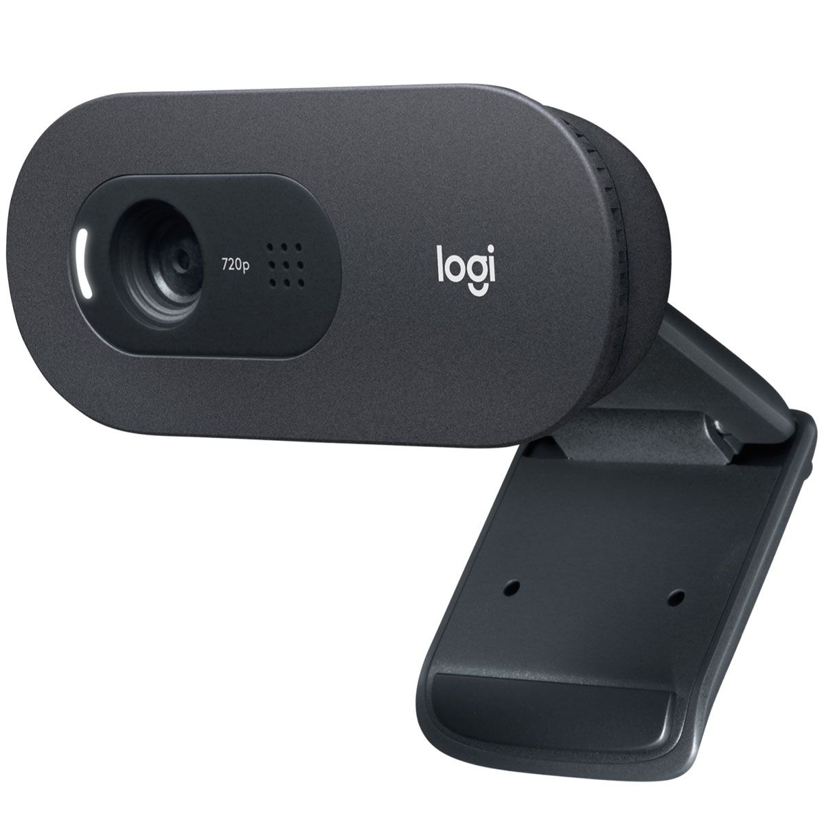 Logitech C505 HD Webcam