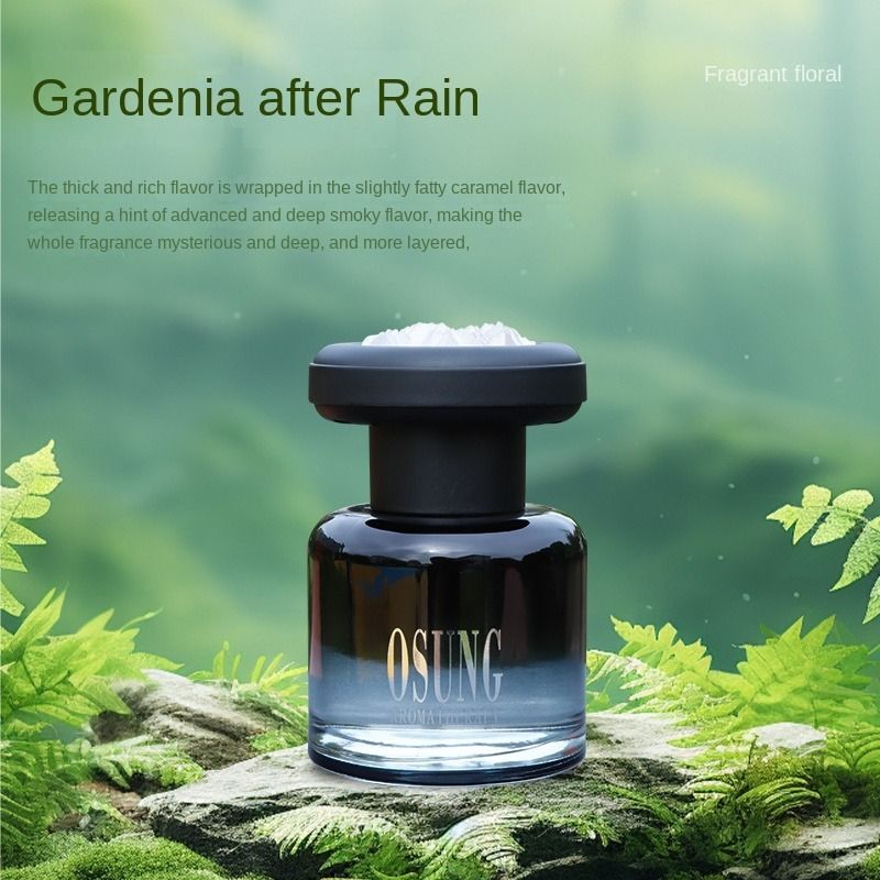 Wanli Jiangshan Perfume Lasting Fragrance Removal 3d Relief Advanced Sense Car Fragrance