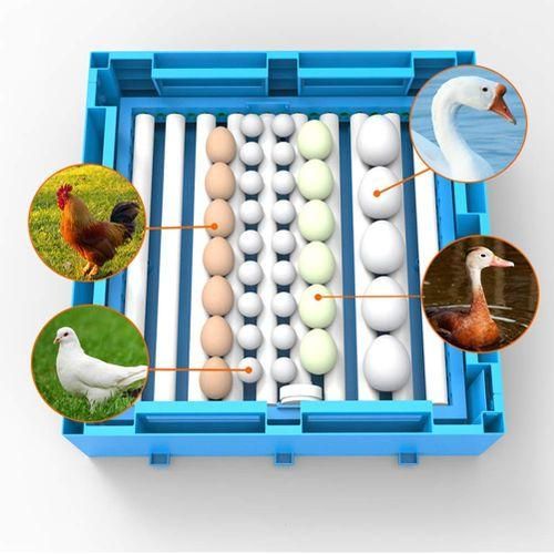 64-EGGS SOLAR AND ELECTRIC (AC/DC) FULL AUTOMATIC INCUBATOR