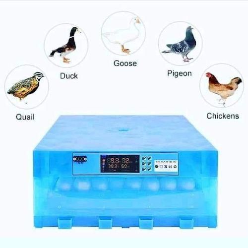 64-EGGS SOLAR AND ELECTRIC (AC/DC) FULL AUTOMATIC INCUBATOR