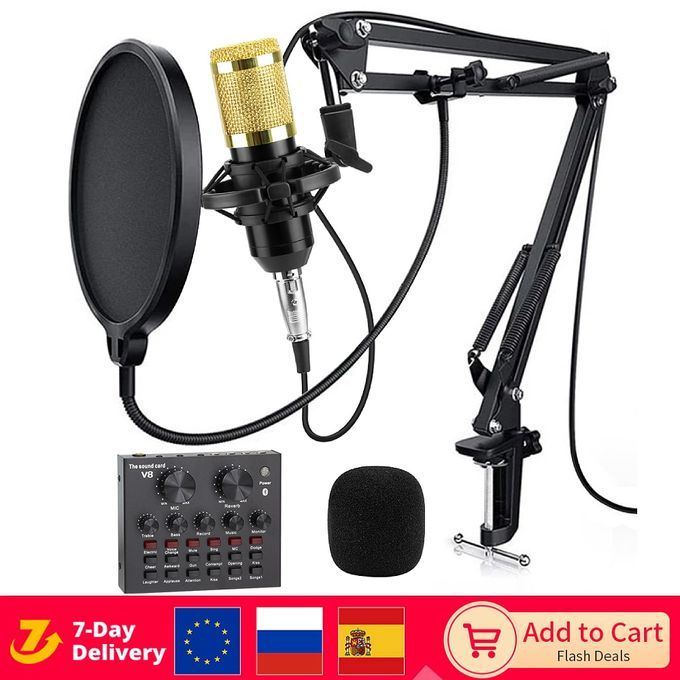 Bm-800 Condenser Microphone & V8 Live Sound Card