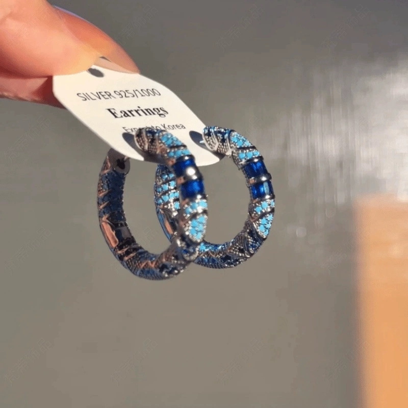 Blue Earrings Design Niche High-End Earrings Light Luxury Fashion Large Round Earrings Hoop Zircon Retro Exquisite Women