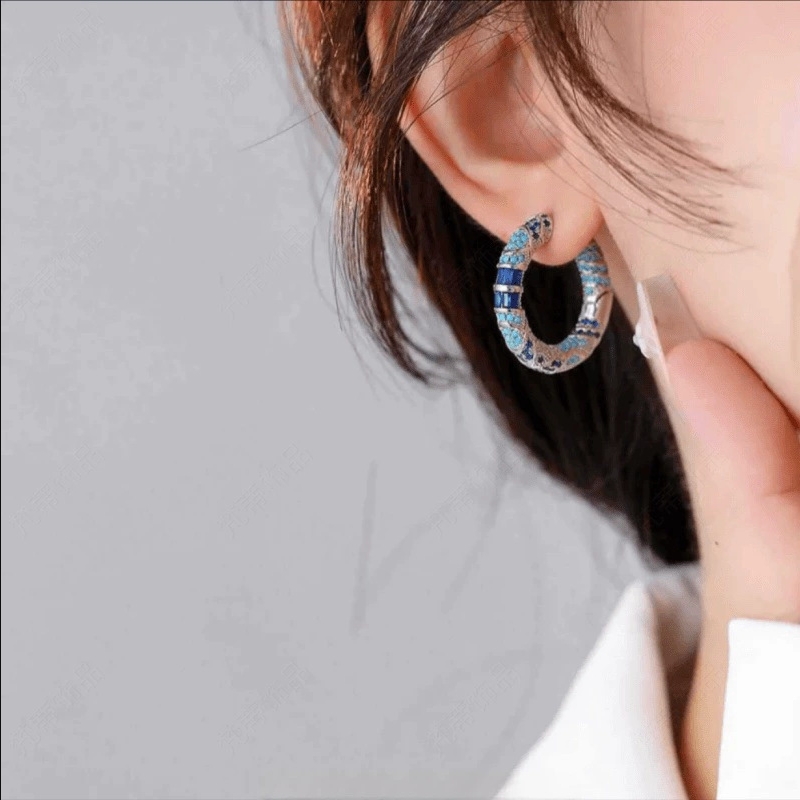 Blue Earrings Design Niche High-End Earrings Light Luxury Fashion Large Round Earrings Hoop Zircon Retro Exquisite Women