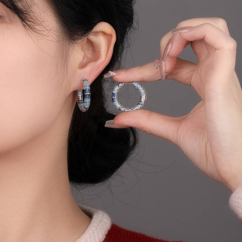Blue Earrings Design Niche High-End Earrings Light Luxury Fashion Large Round Earrings Hoop Zircon Retro Exquisite Women