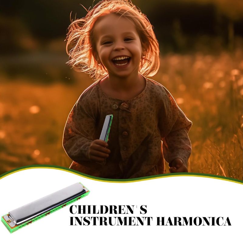 Standard 24-Hole Double-Row Metal Harmonica Early Education Instrument Seashell Harmonica Polyphonic Accent Student Adult Beginner Harmonica Professional Harmonicon Double Row Music