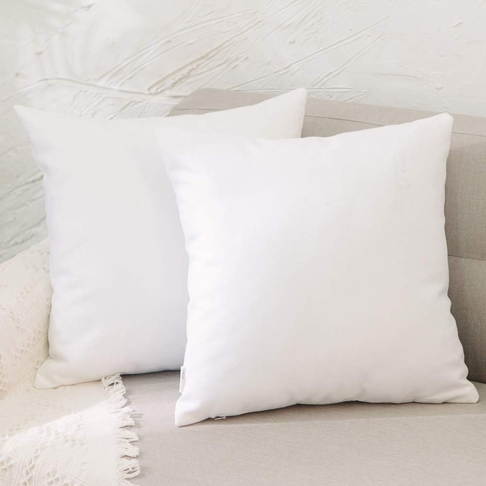 【Discounted】Ragen 17 x 17 inches Pillow Inserts, Sets of Hypoallergenic Brushed Microfiber Liner Down Alternative Filled Square Cushion Throw Pillow