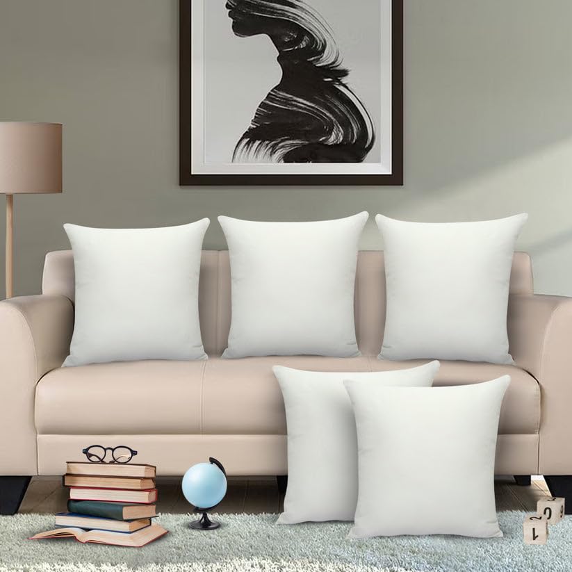 【Discounted】Ragen 17 x 17 inches Pillow Inserts, Sets of Hypoallergenic Brushed Microfiber Liner Down Alternative Filled Square Cushion Throw Pillow