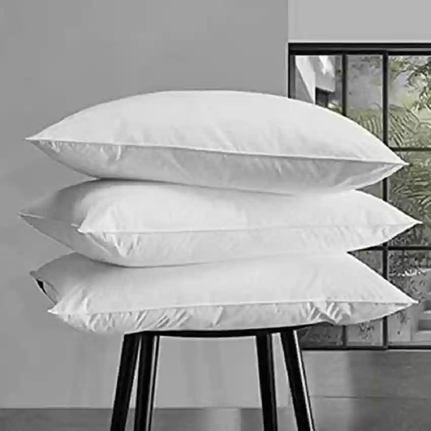 【LIMITED OFFER】2PCS  GET 1 FREE Pillow Filter Memory Pillow Bedding Accessories 600GSM