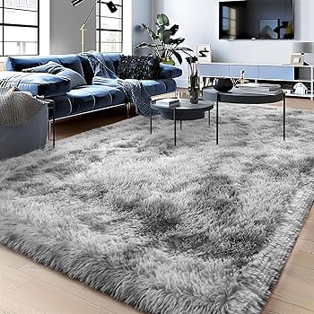 Ragen Soft Fluffy Large Shaggy Rug for Bedroom Livingroom Dorm Kids Room Indoor Home Decorative, Non-Slip Plush Furry Fur Area Rugs Comfy Nursery Accent Floor Carpet