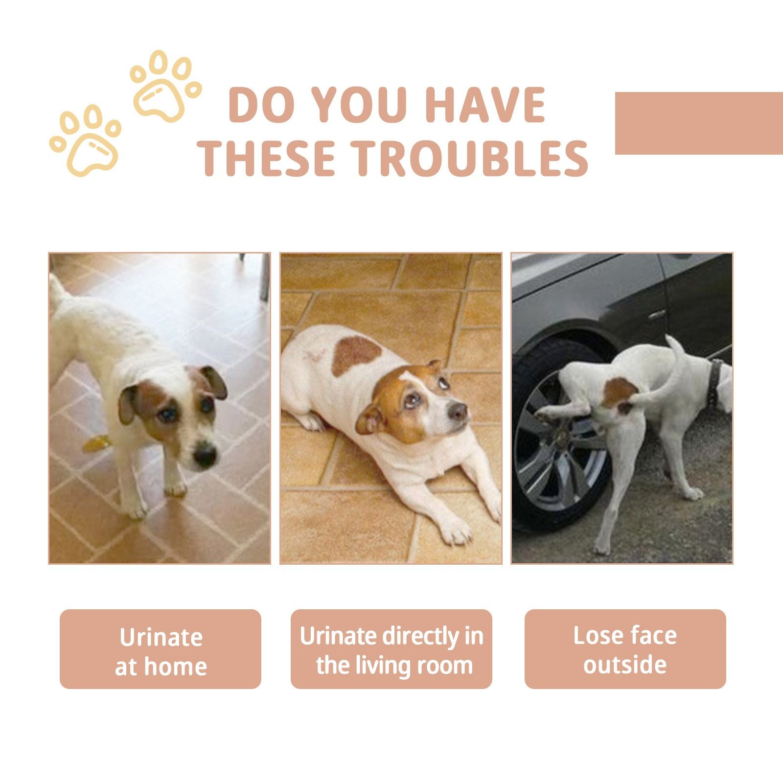Jaysuing pet defecation inducer pet use the toilet fixed point training induce spray pet toilet inducer