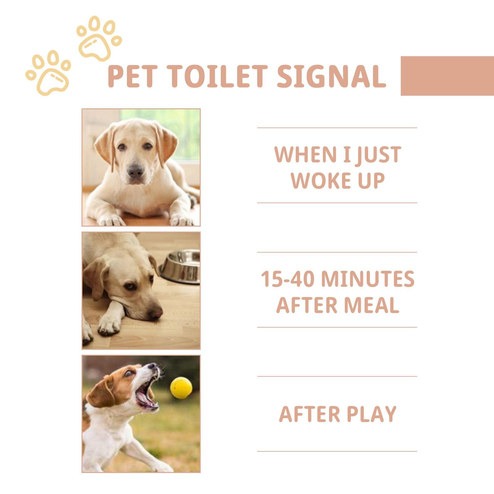 Jaysuing pet defecation inducer pet use the toilet fixed point training induce spray pet toilet inducer