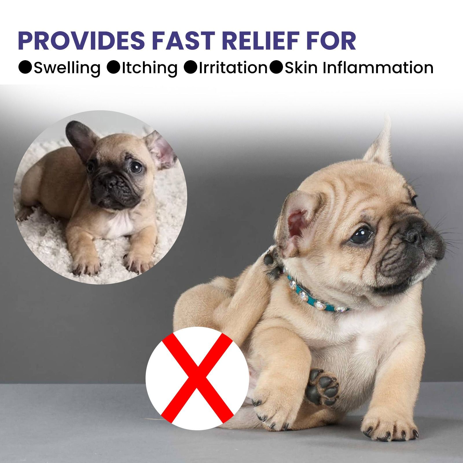 Yegbong pet nursing spray Go mite free dust mite removal deworming clean soothing skin fur cats and dogs General