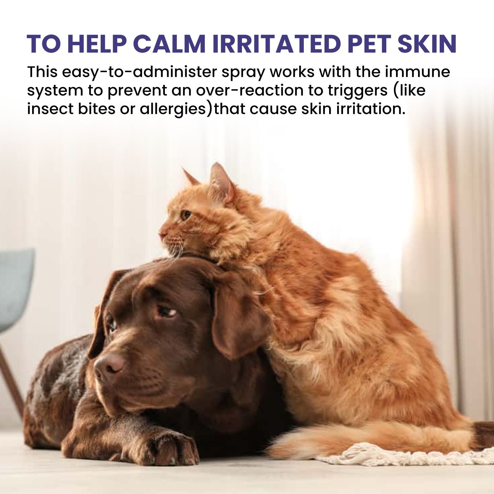 Yegbong pet nursing spray Go mite free dust mite removal deworming clean soothing skin fur cats and dogs General