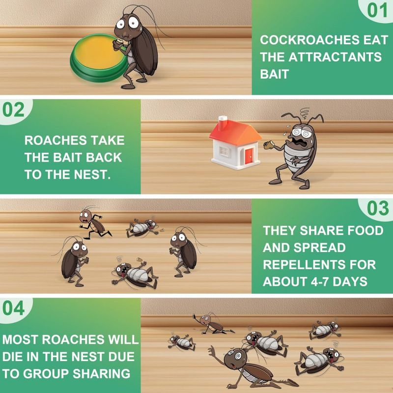 HOMTOPY Home Dormitory Kitchen Strong Cleaning Extermination Removal Cockroaches Pests.